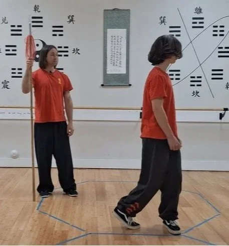 Structured Cheng Baguazhang and Chen Taijiquan lessons inside the Dragon Phoenix Online Academy