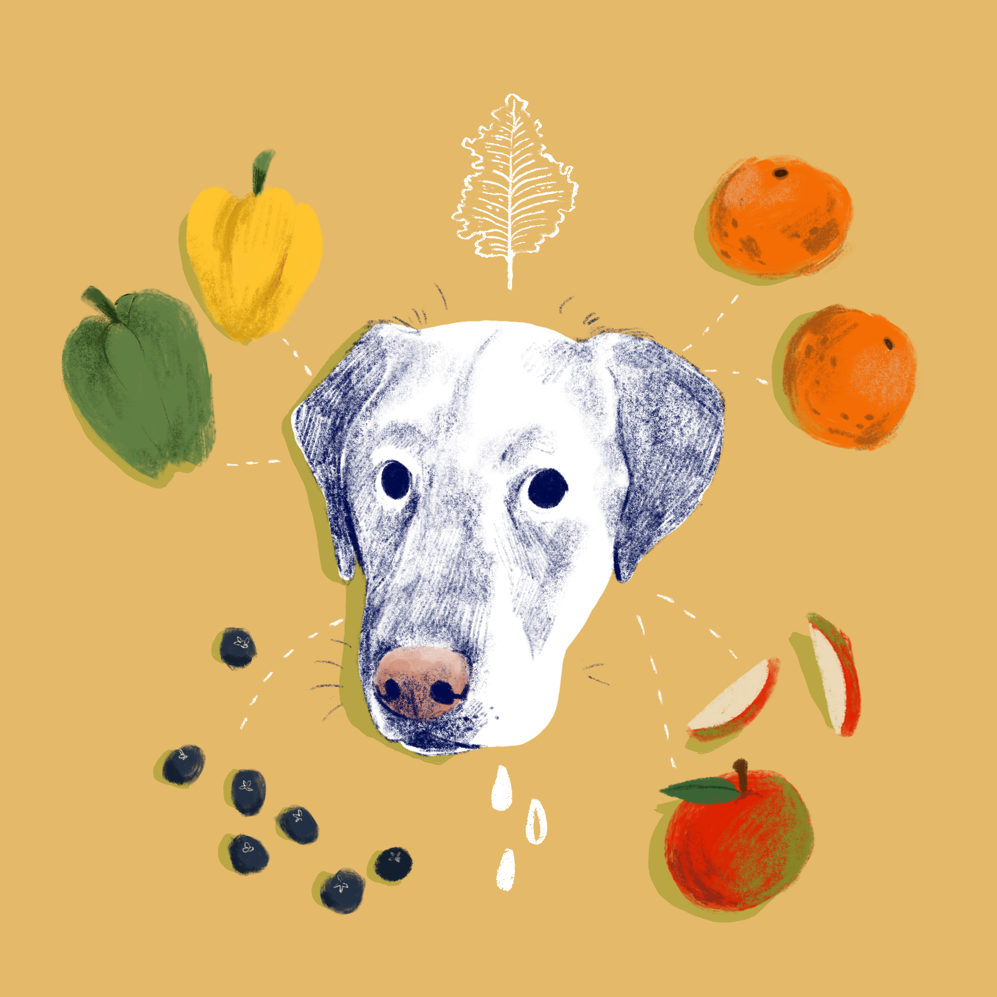 Blue Loves Produce // Digital Illustration, 2019