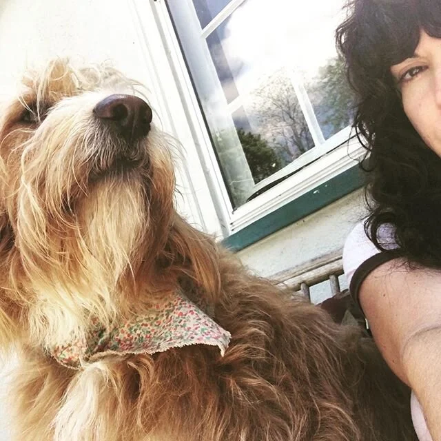 Doggo loves to sit next to me on the deck. We ponder, listen to birds, he barks at the occasional rabbit.