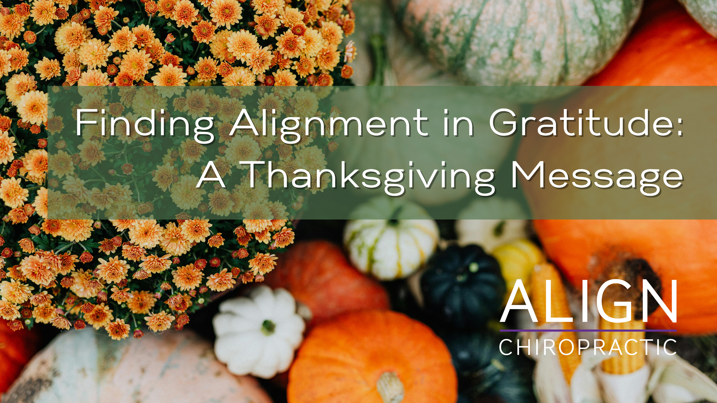 Finding Alignment in Gratitude: A Thanksgiving Message from Align Chiropractic