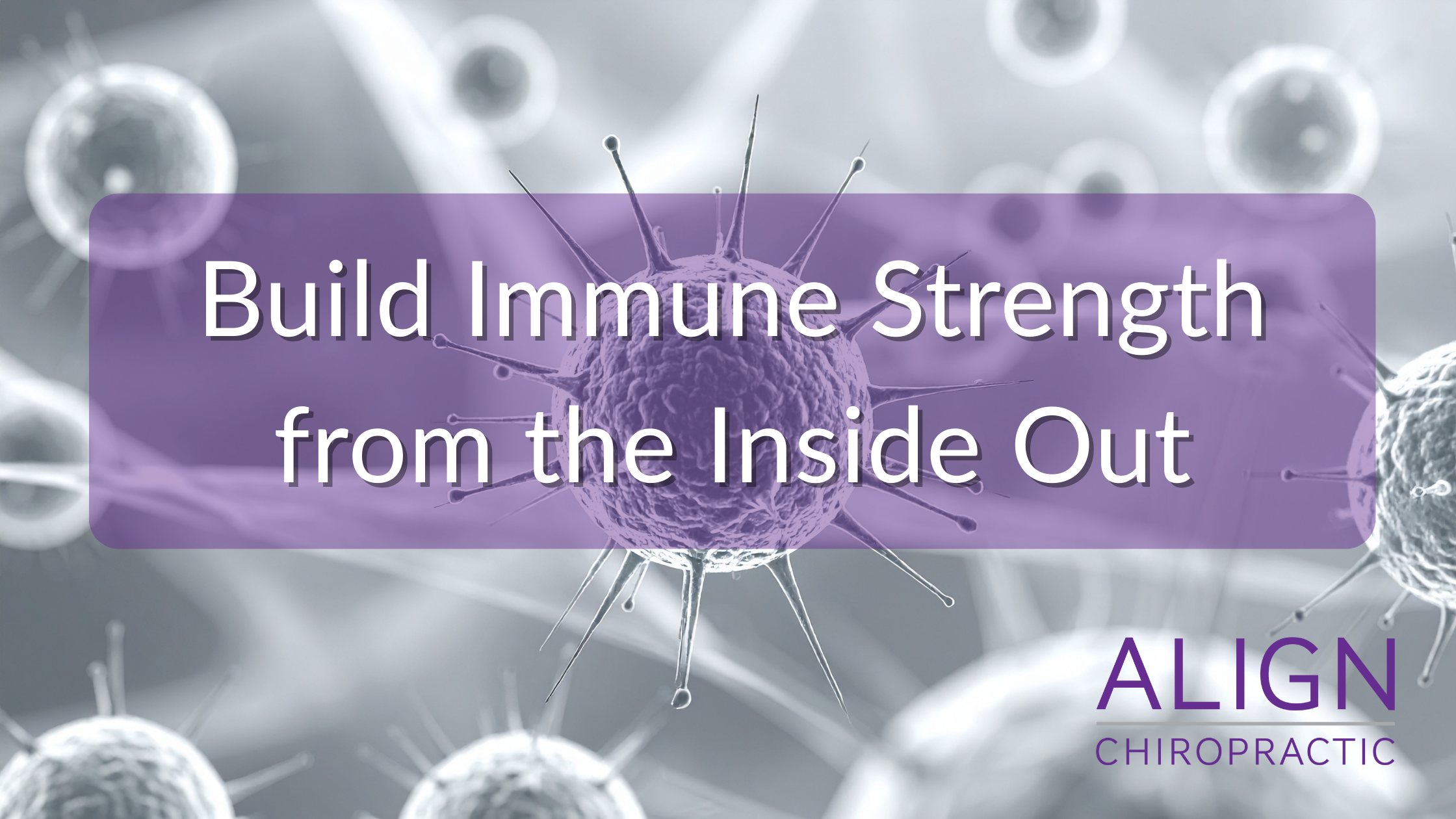 Build Immune Strength from the Inside Out