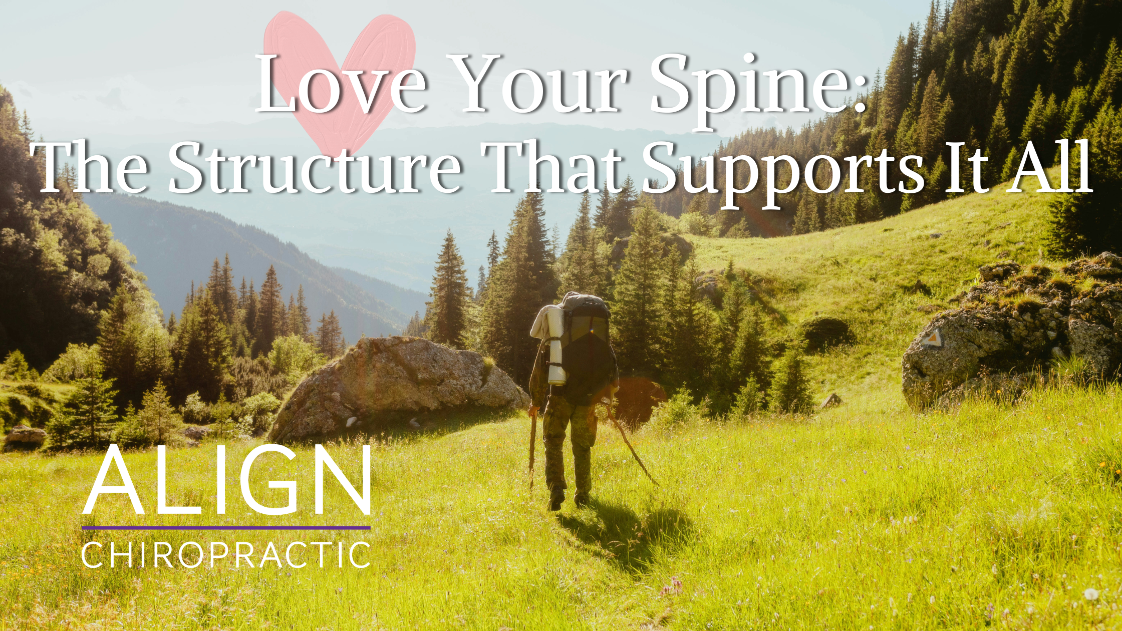 Love Your Spine: The Structure That Supports It All
