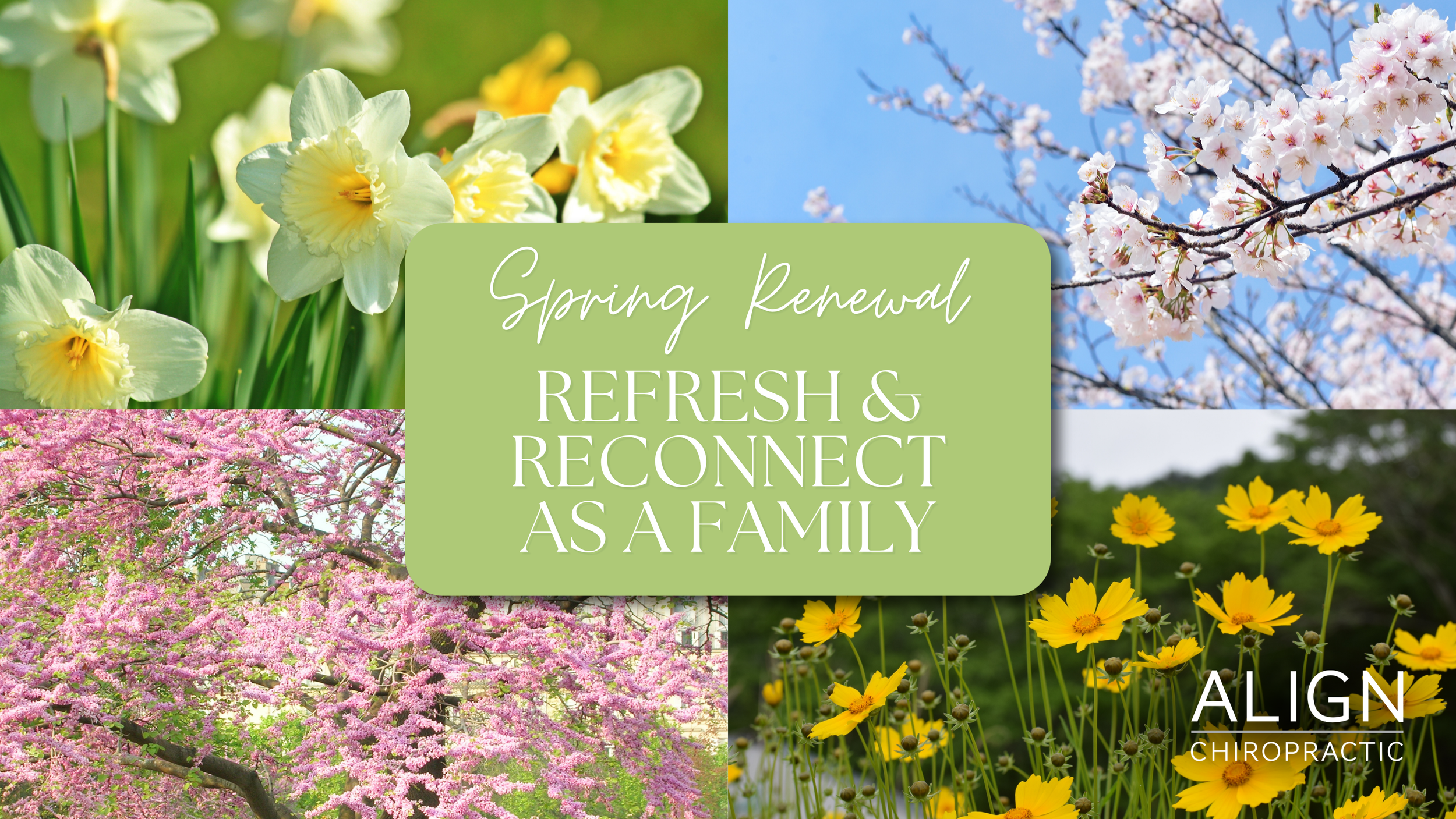Spring Renewal: Refresh and Reconnect as a Family