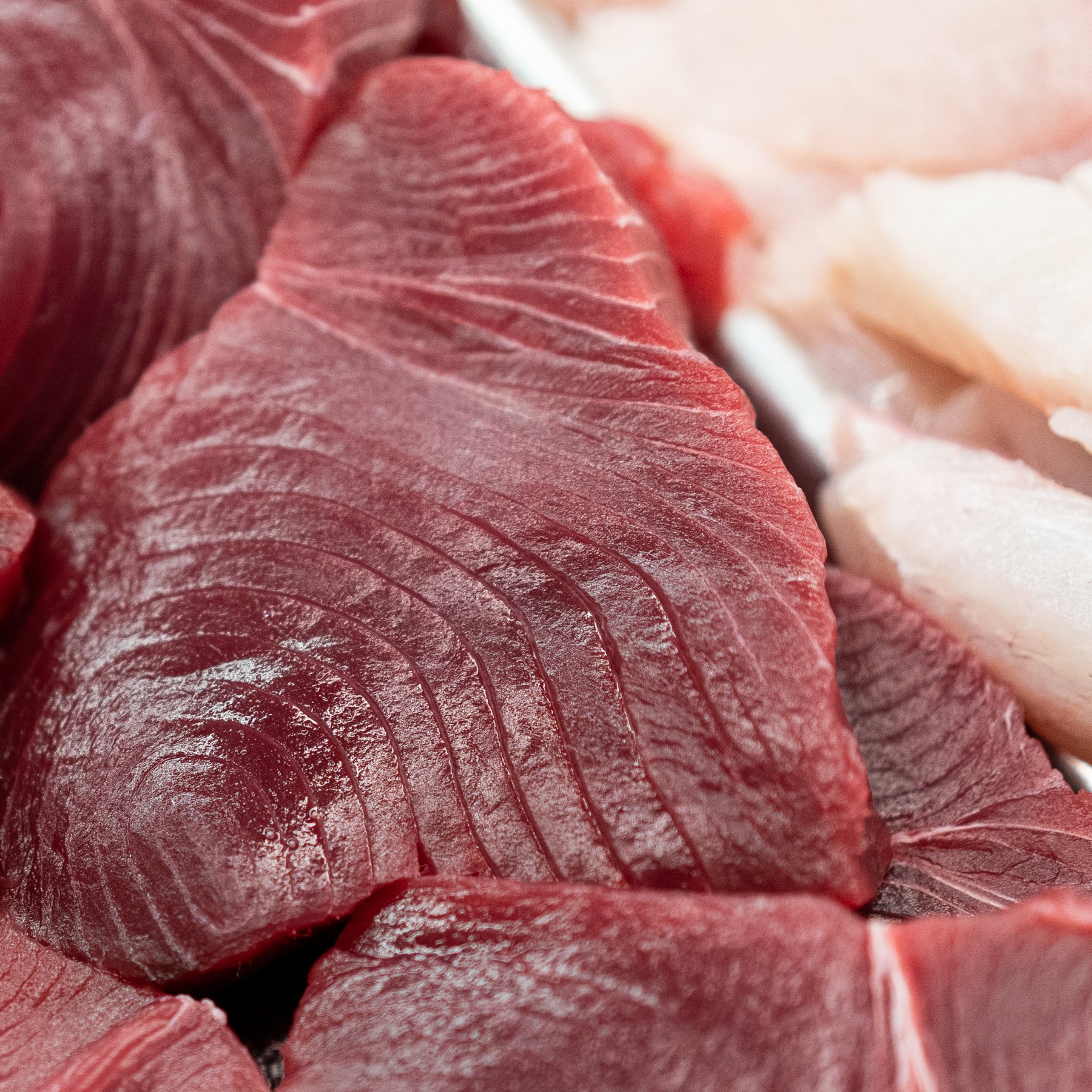 Tuna and Salmon - 1.jpg