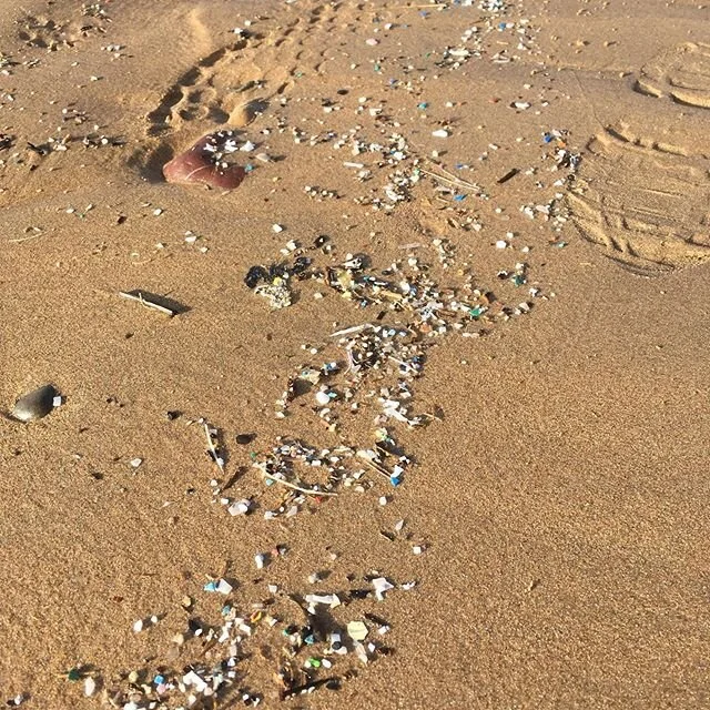 Sad to see so much small plastic on the tide line at Freshwater West but the dog enjoying himself all the same #burrowspembroke #freshwaterwest #climatechange  #happydog