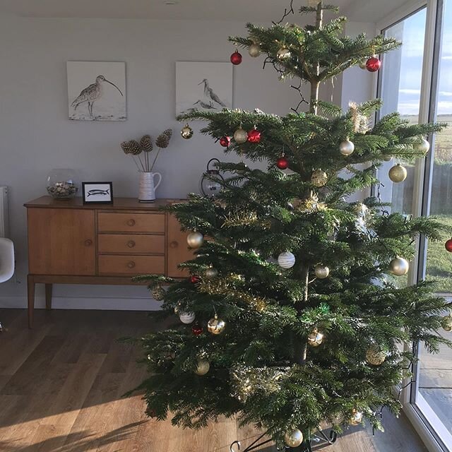 Tree all decorated &amp; house all ready to welcome our Christmas &amp; New Year guests plus time for sunset walks on Freshwater West  Merry Christmas &amp; a Happy New Year to all our past customers  Hope to see you again one day  #burrowspembroke #