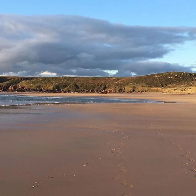 Yesterday winter gardening &amp; beach walks today raincoats &amp;  big waves - what a difference a day makes  Still beautiful whatever the weather #burrowspembroke #freshwaterwest #lovepembrokeshire #pembrokeshirecoastnationalpark #visitwales