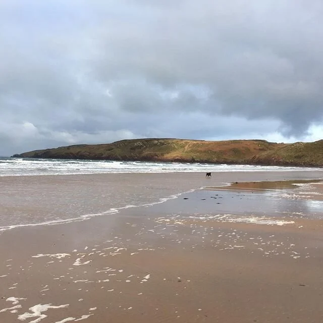 Whatever the season or weather I just love this beautiful beach &amp; views  #burrowspembroke #freshwaterwest #pembrokeshirenationalpark #lovepembrokeshire