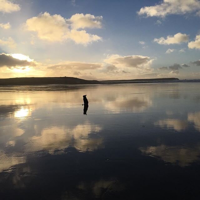 Pre Christmas  morning walk on the  beach - amazing light #burrowspembroke #freshwaterwest #lovepembrokeshire #pembrokeshirenationalpark