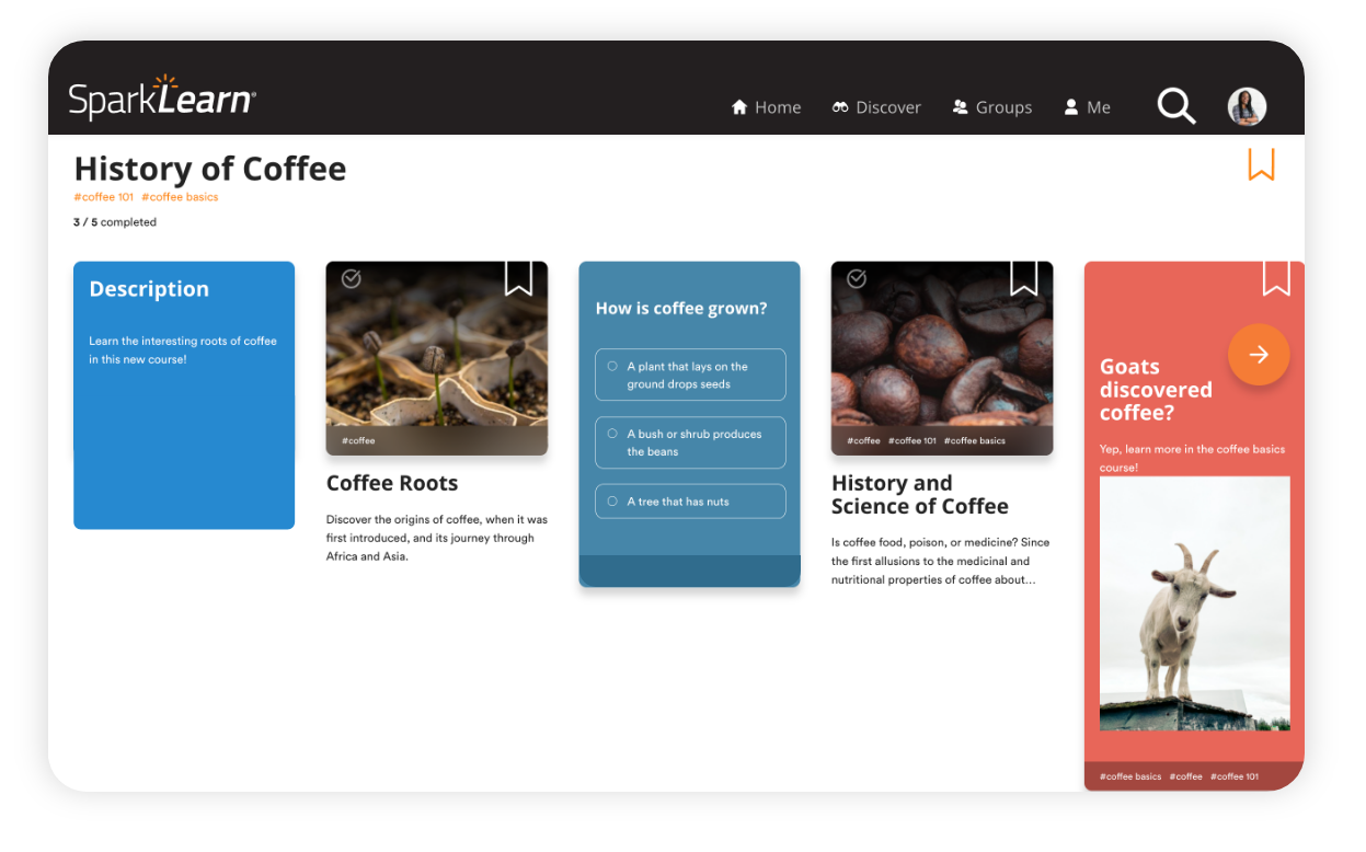 Cards within courses