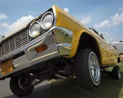 Blog Post 4: Niches Get Switches