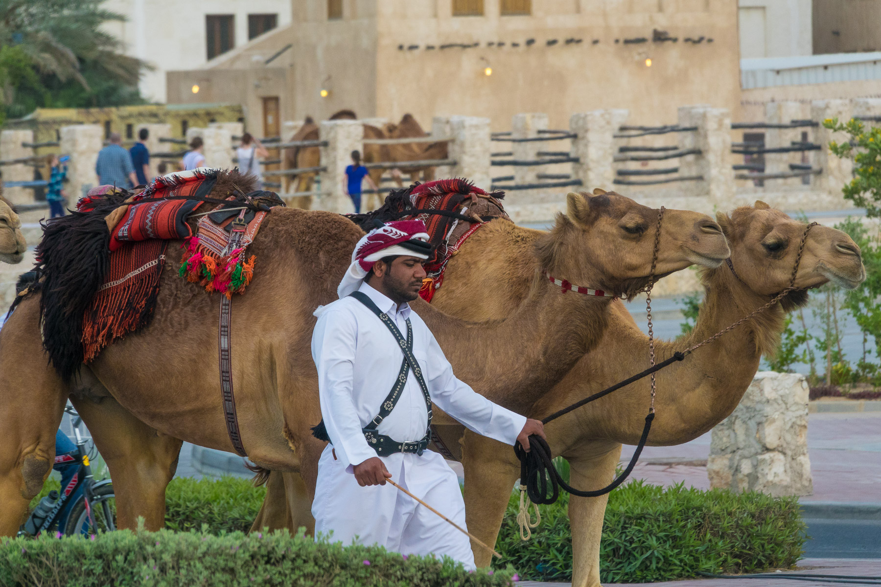 04-Doha-29.jpg