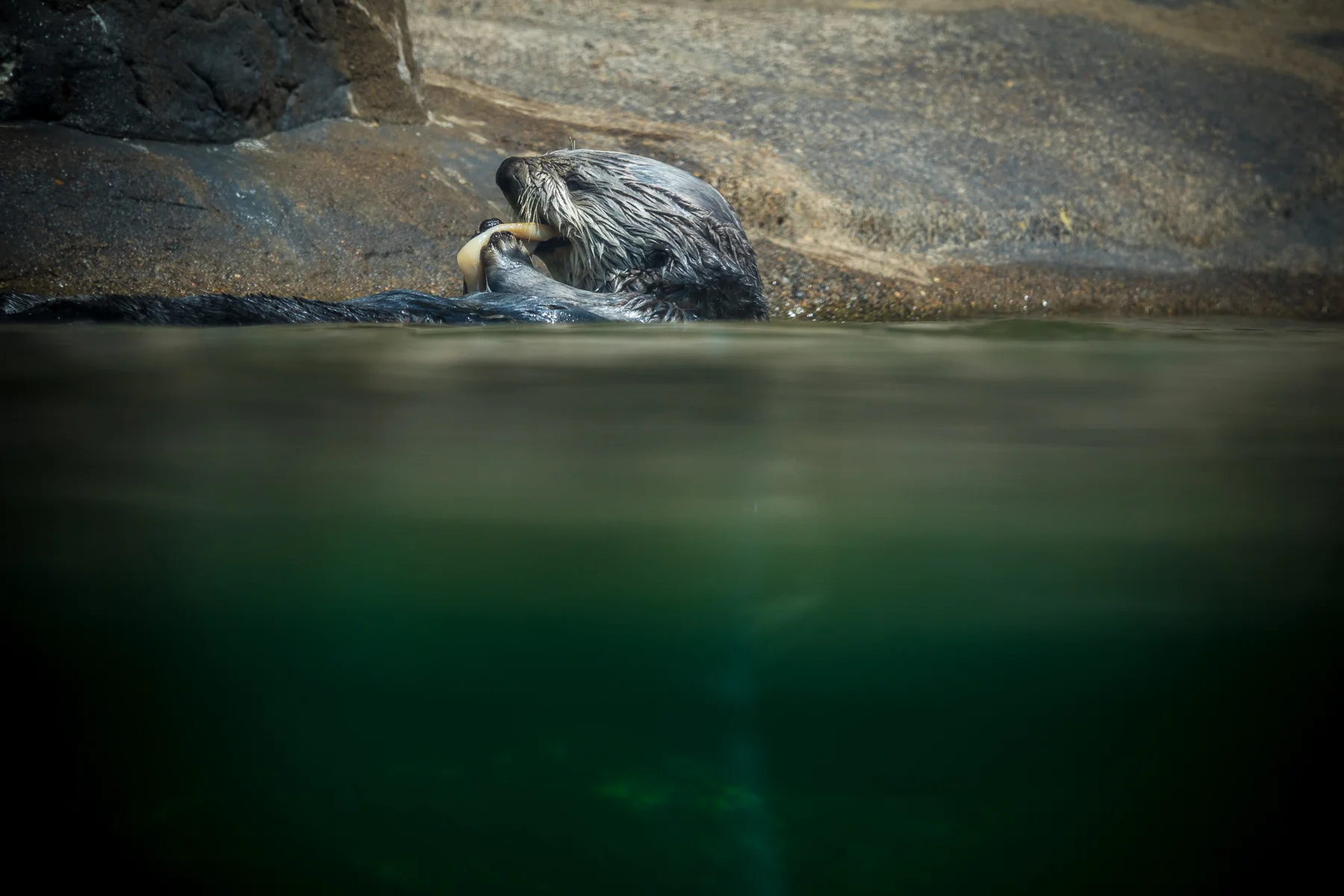 05-newport-8.jpg