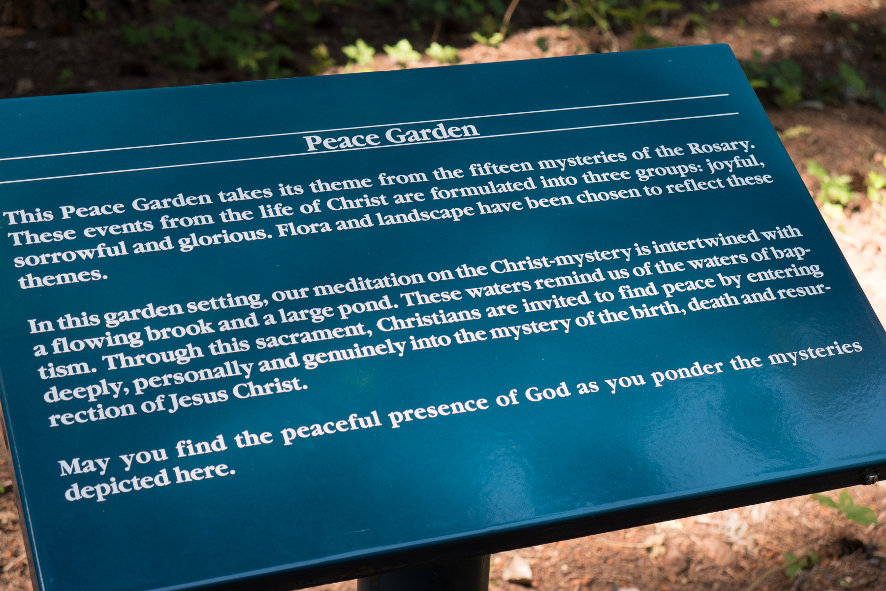 05-Trinity Grotto web-17.jpg