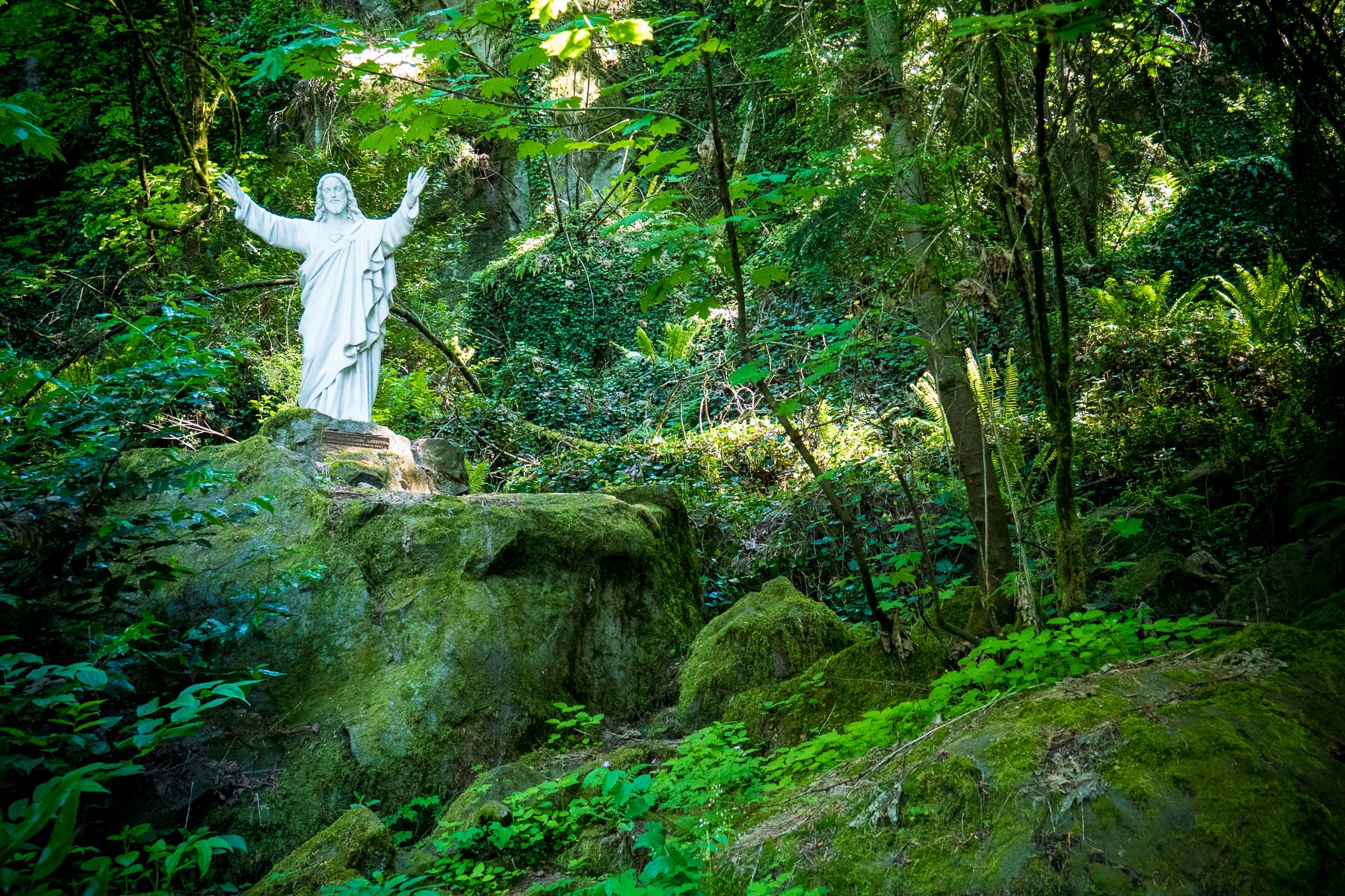 05-Trinity Grotto web-53.jpg