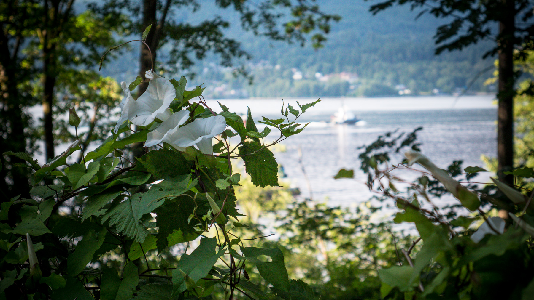 07-vancouverday1gh4-6.jpg