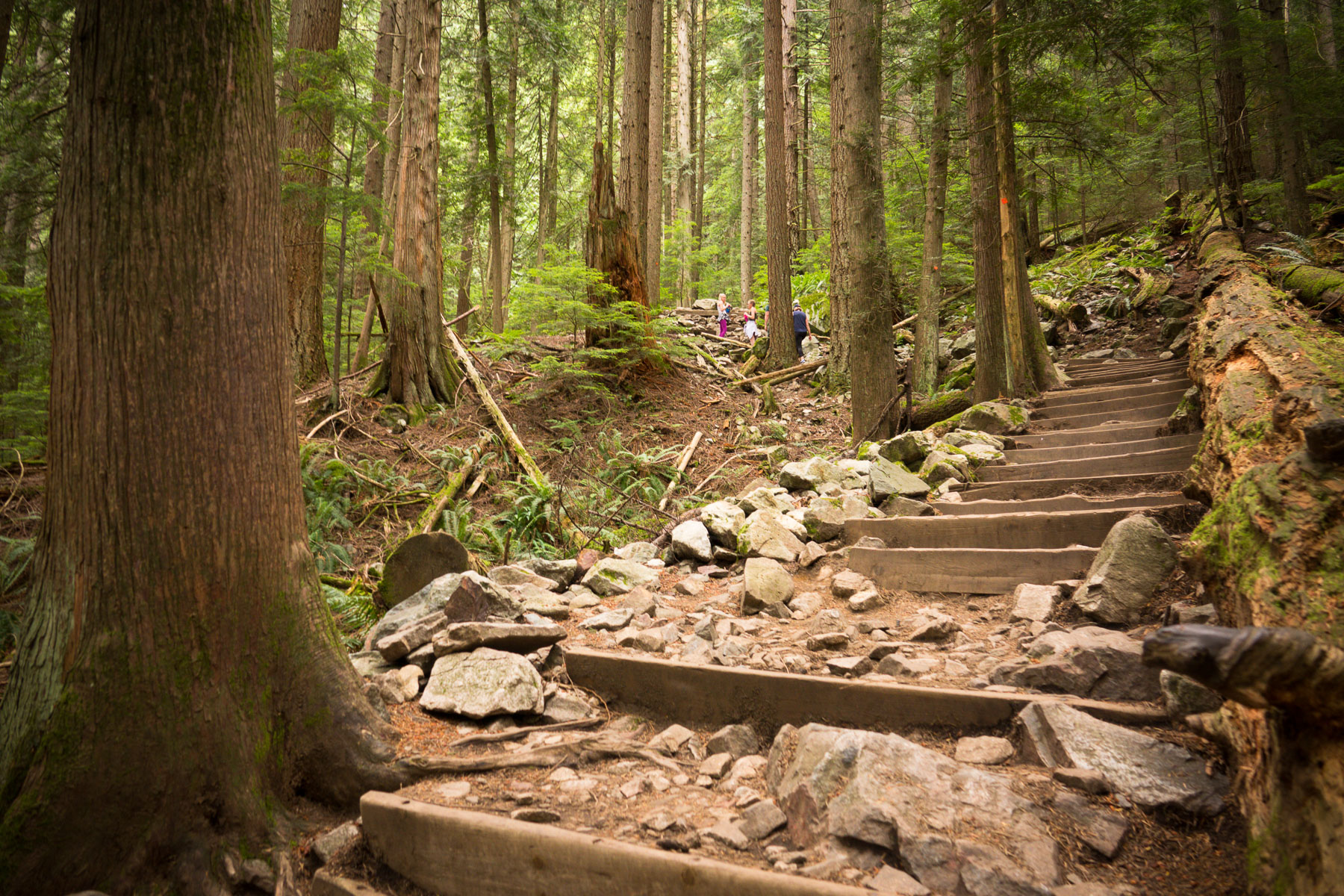 07-grousegrind-2.jpg