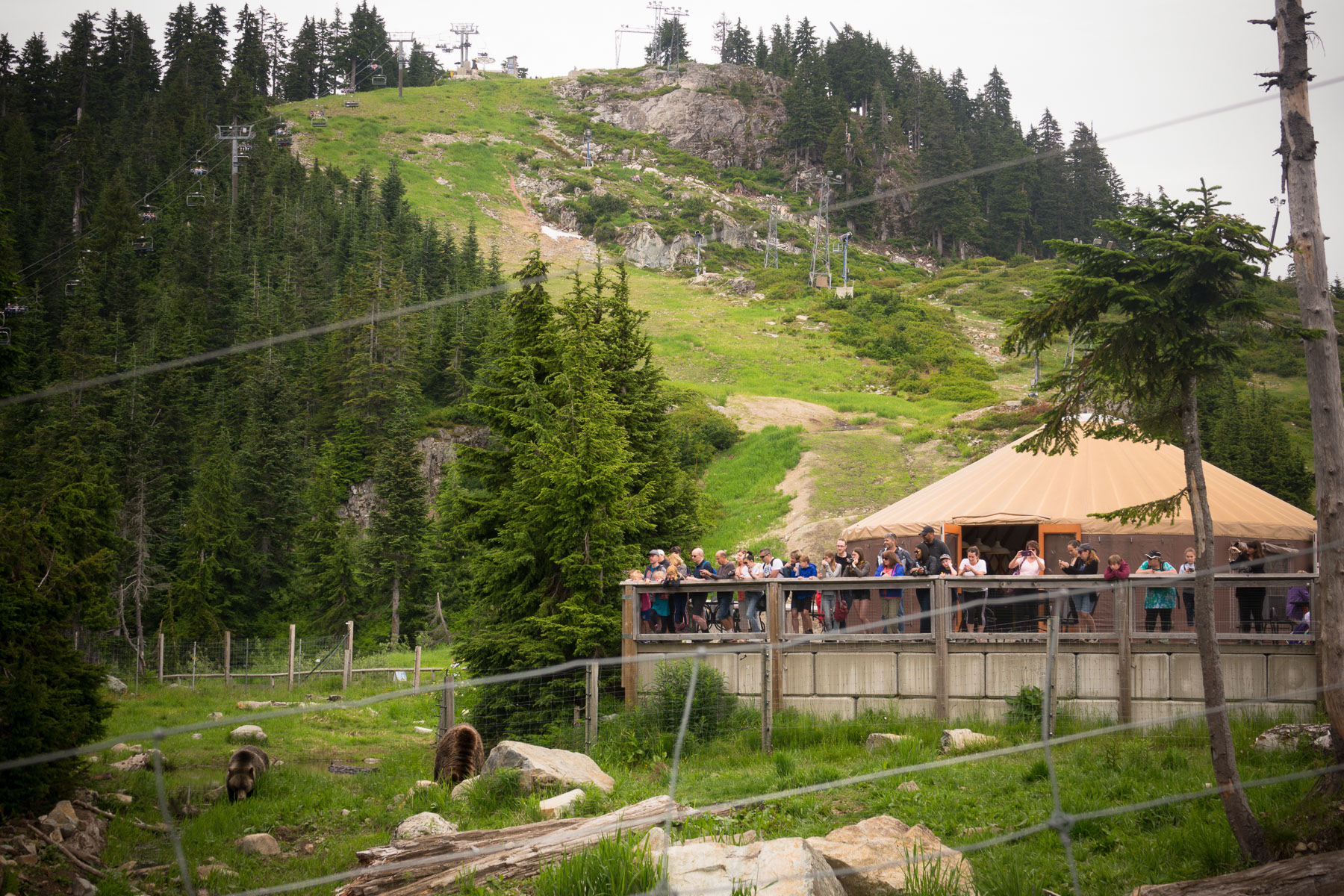 07-grousegrind-22.jpg