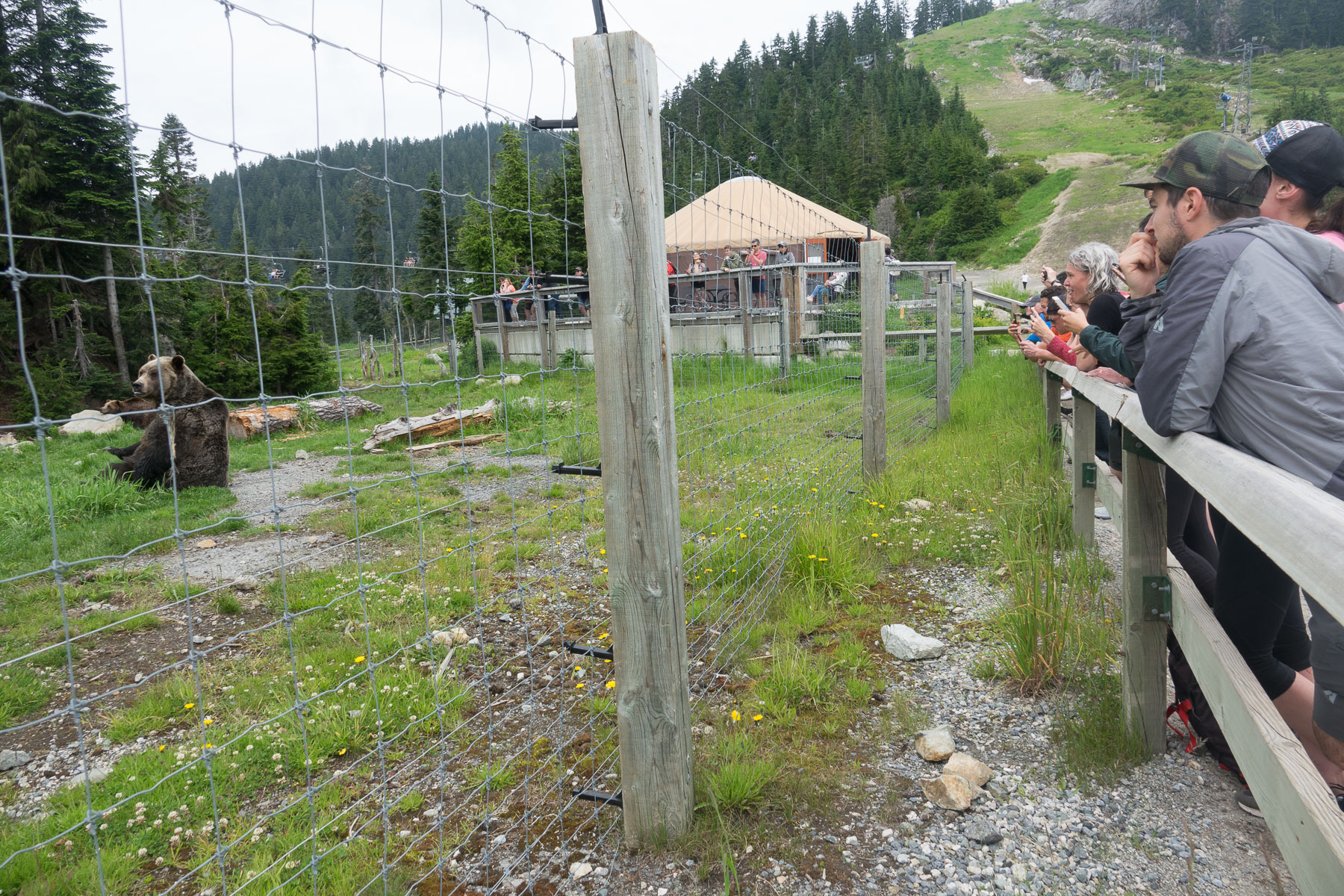 07-grousegrind-29.jpg