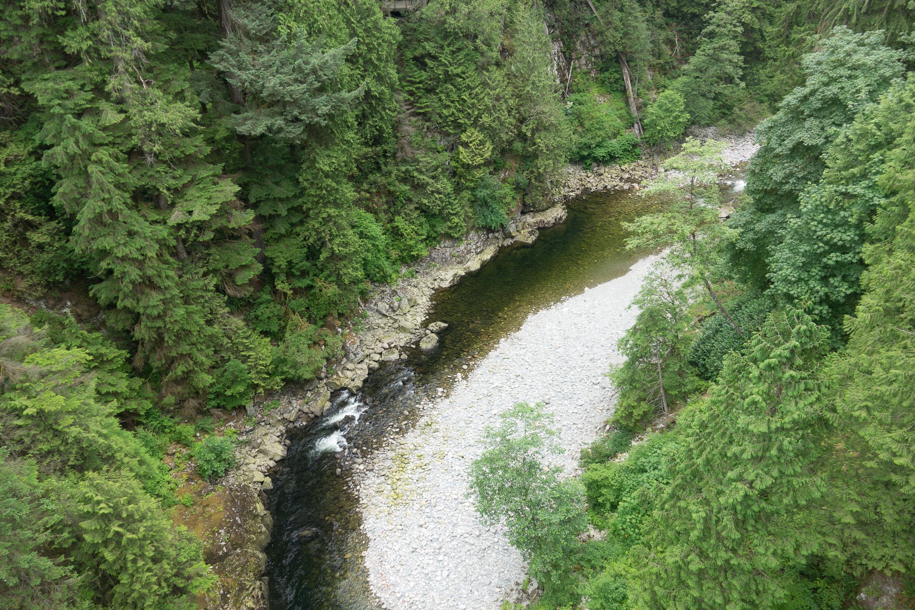 07-vancouvercapilano-5.jpg