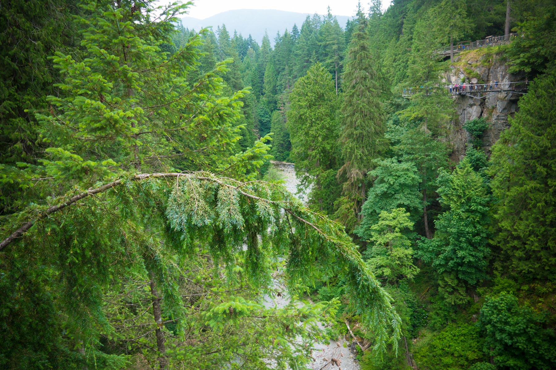 07-vancouvercapilano-9.jpg