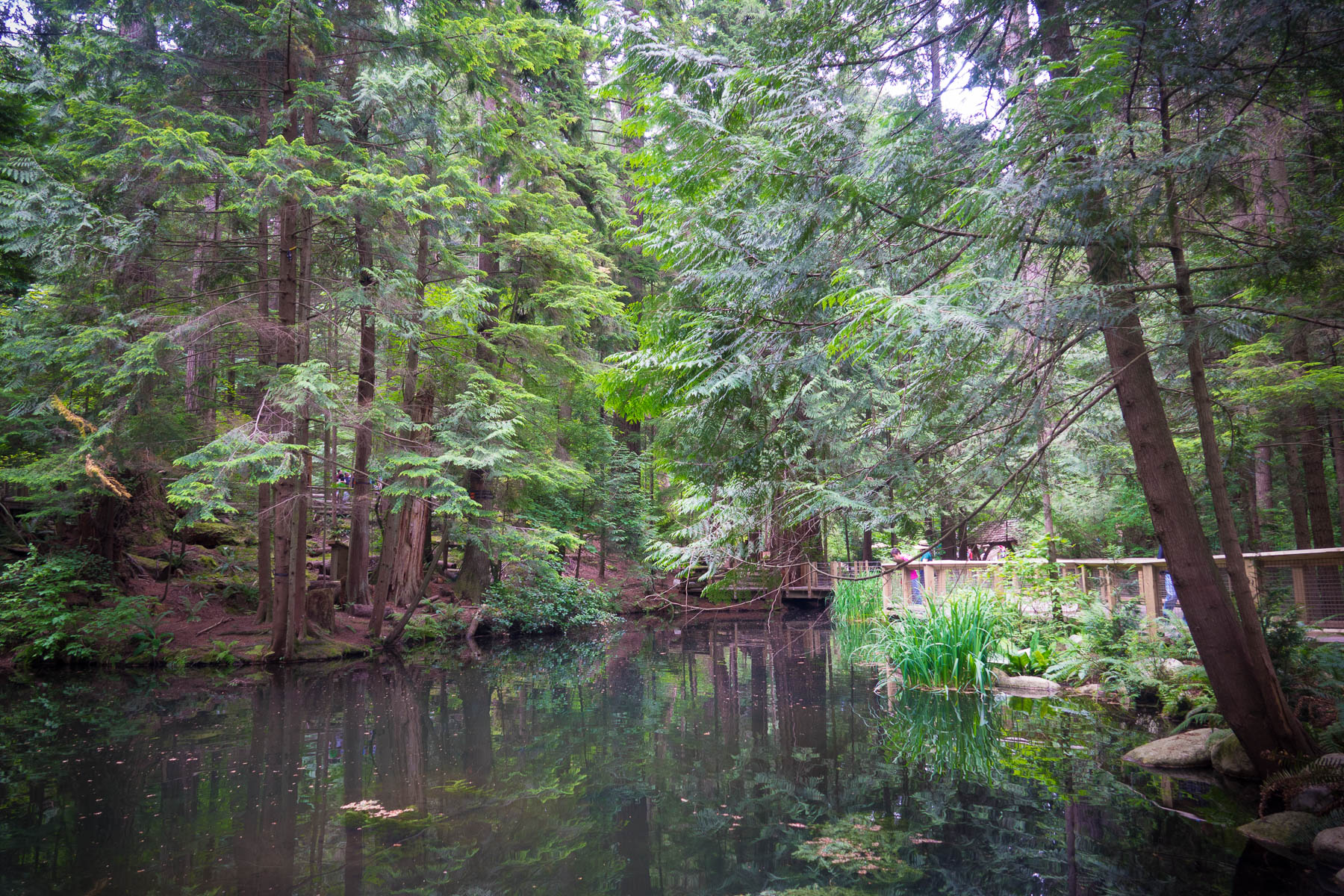 07-vancouvercapilano-16.jpg