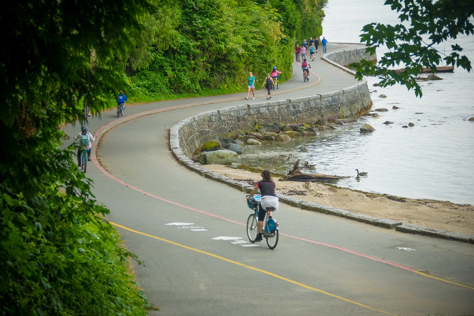 07-vancouverstanleypark-3.jpg