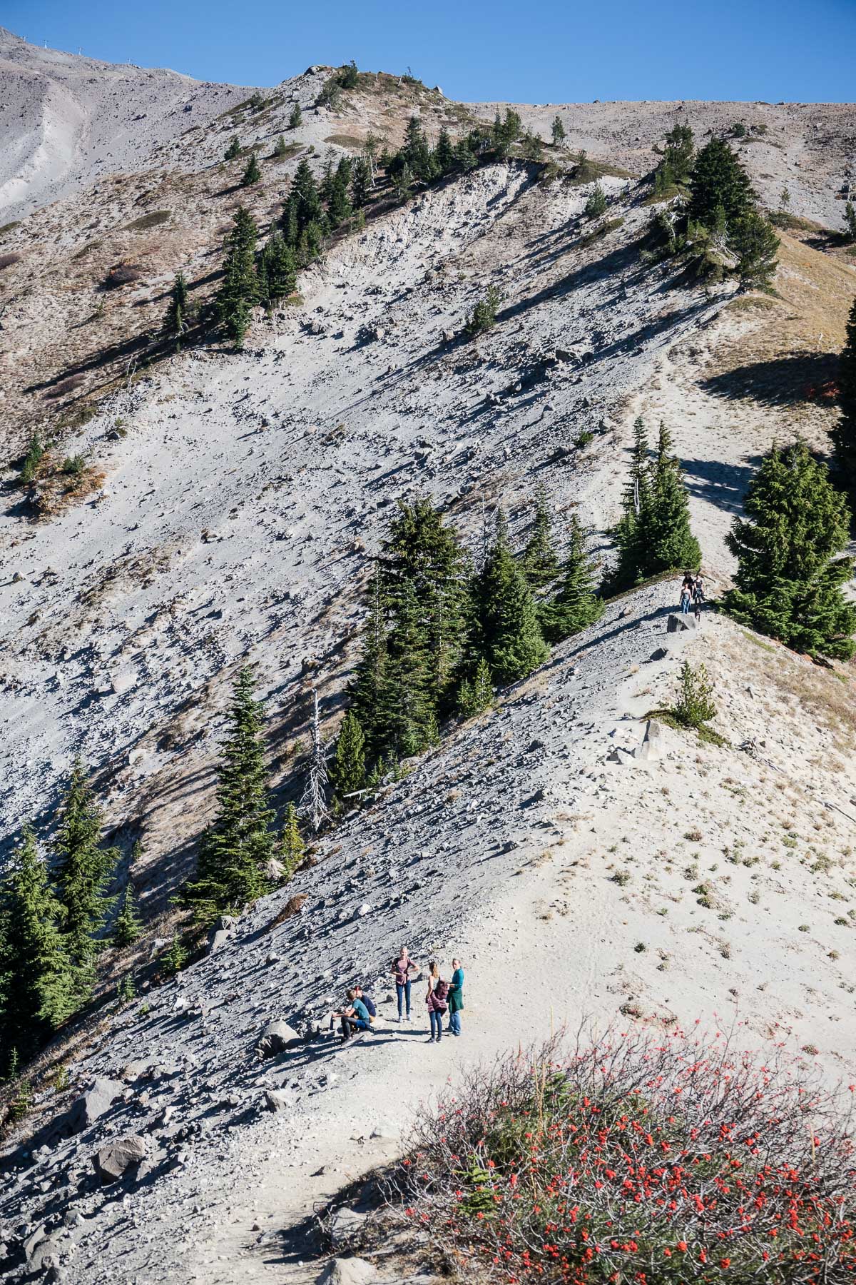 10-timberlinezigzag-7.jpg
