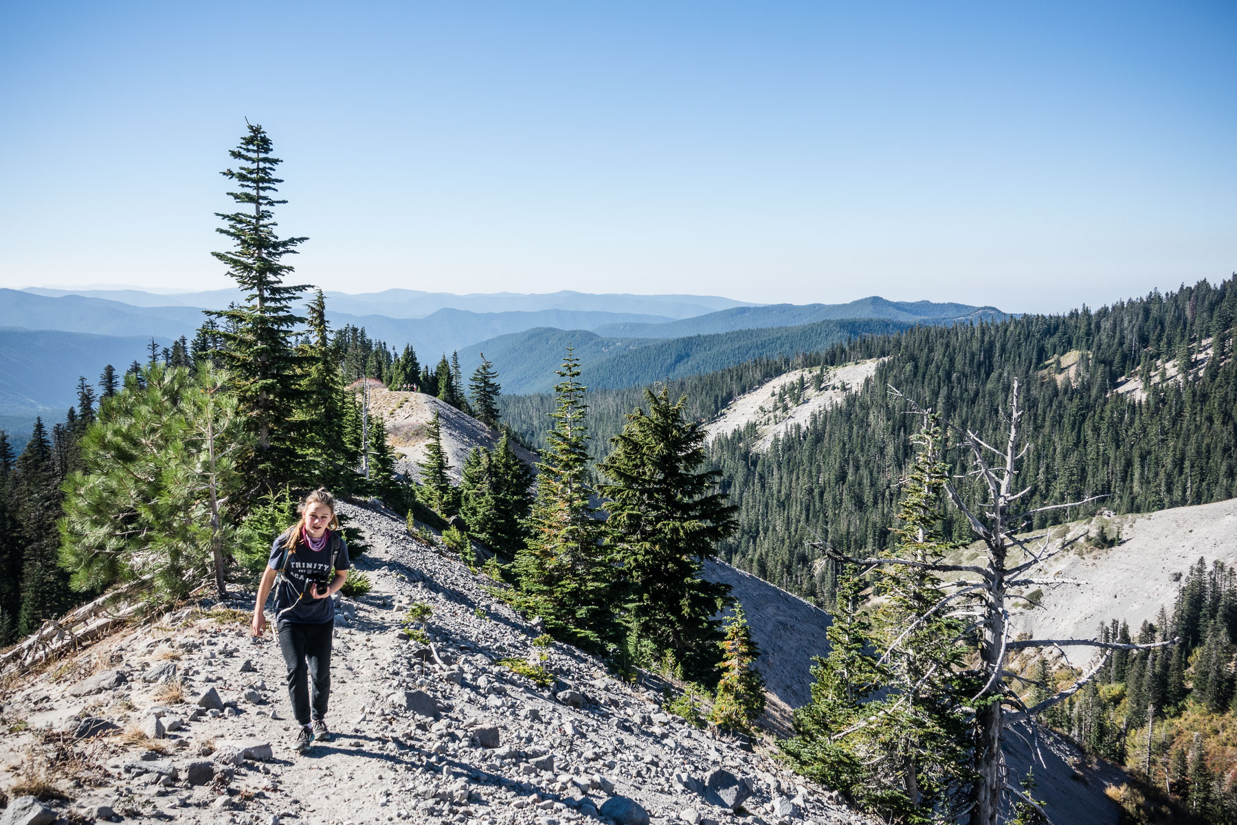 10-timberlinezigzag-8.jpg