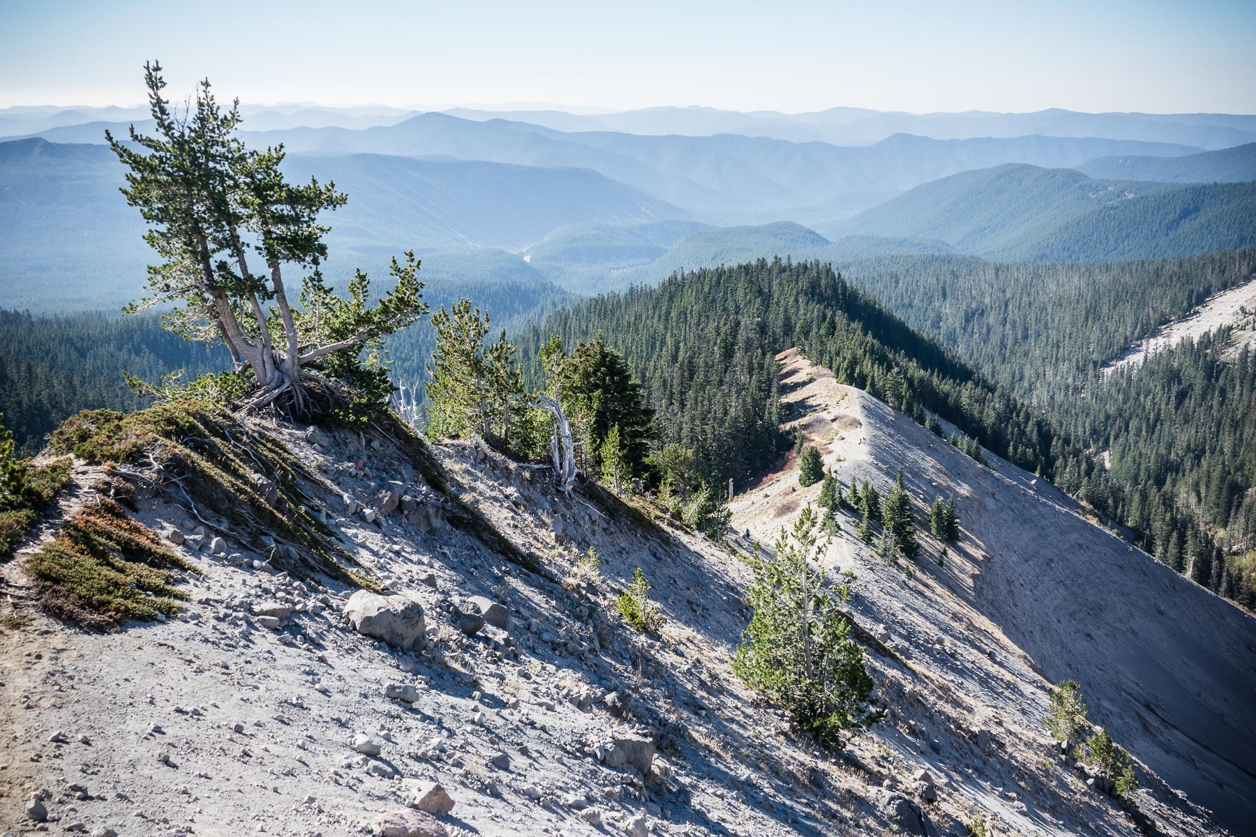 10-timberlinezigzag-12.jpg