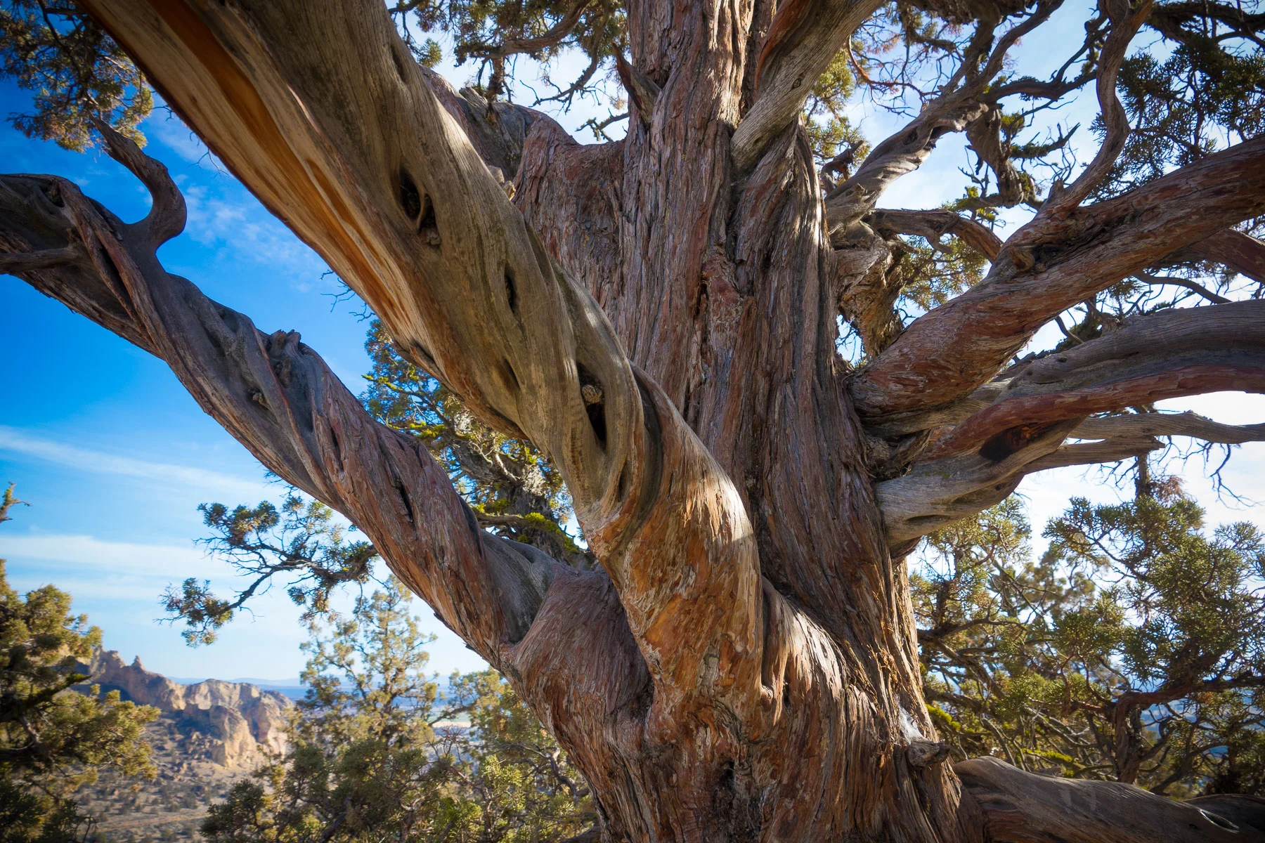 11-smithrock-15.jpg