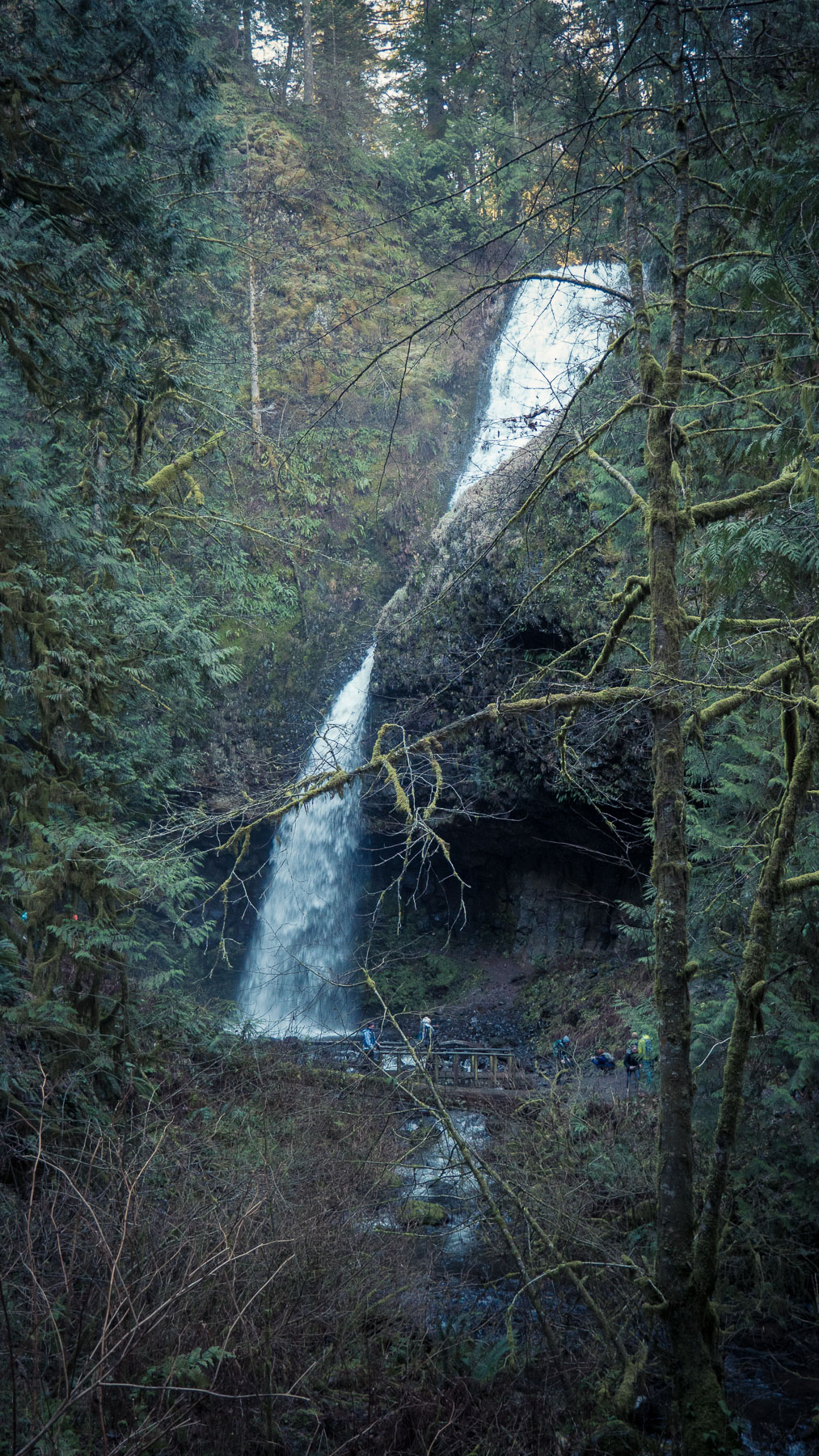 01-latourellfalls-17.jpg