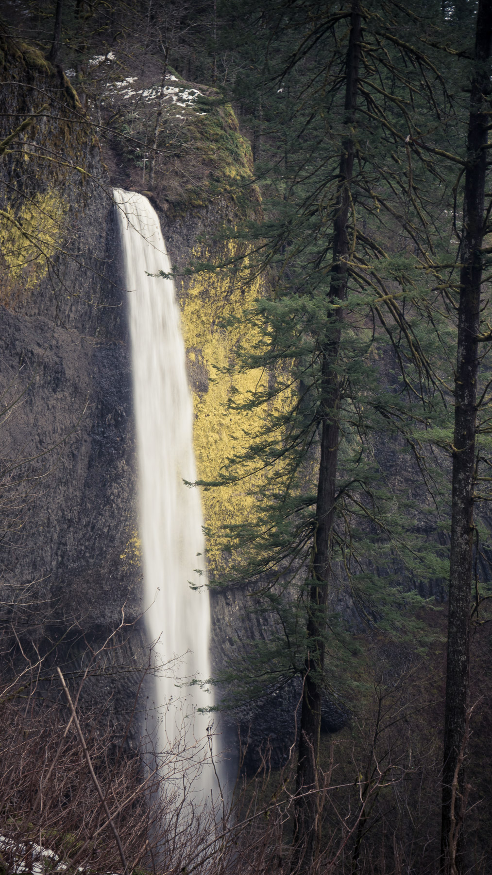 02-latourellfalls-2.jpg