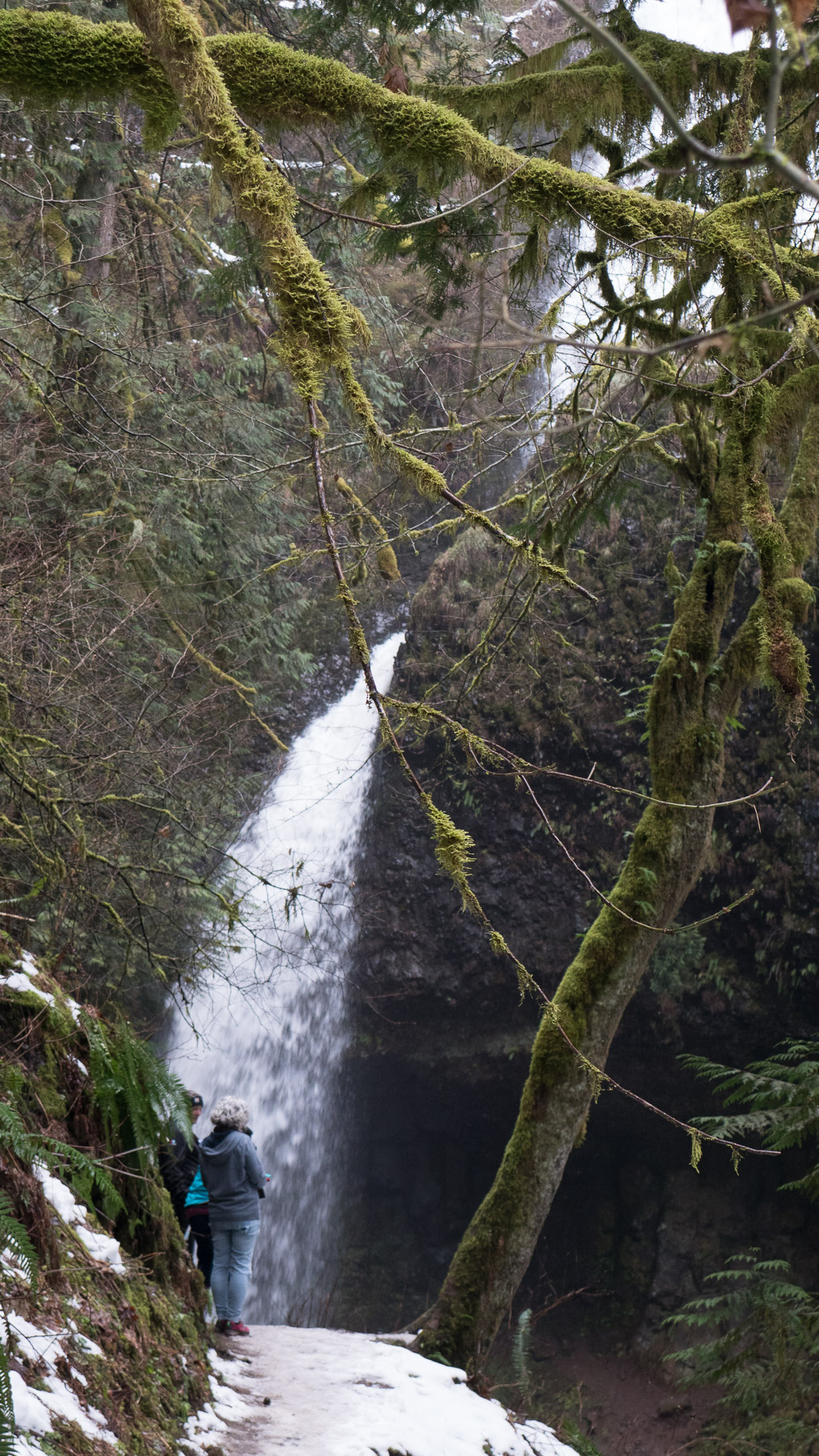 02-latourellfalls-12.jpg