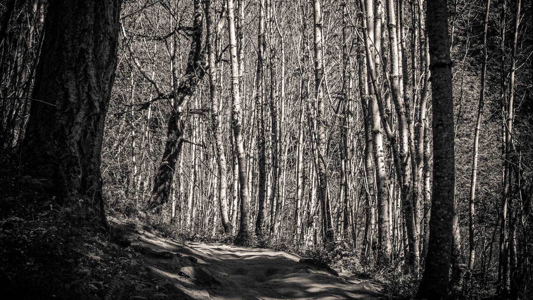 04-angelsrest-8.jpg