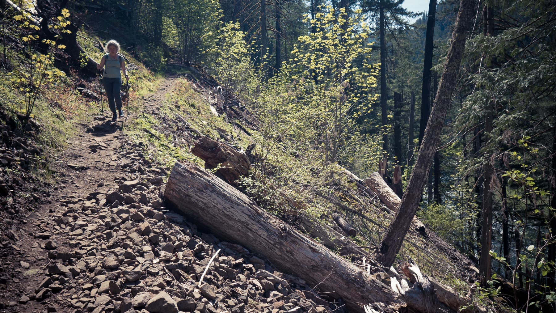 clackamasrivertrail-1.jpg