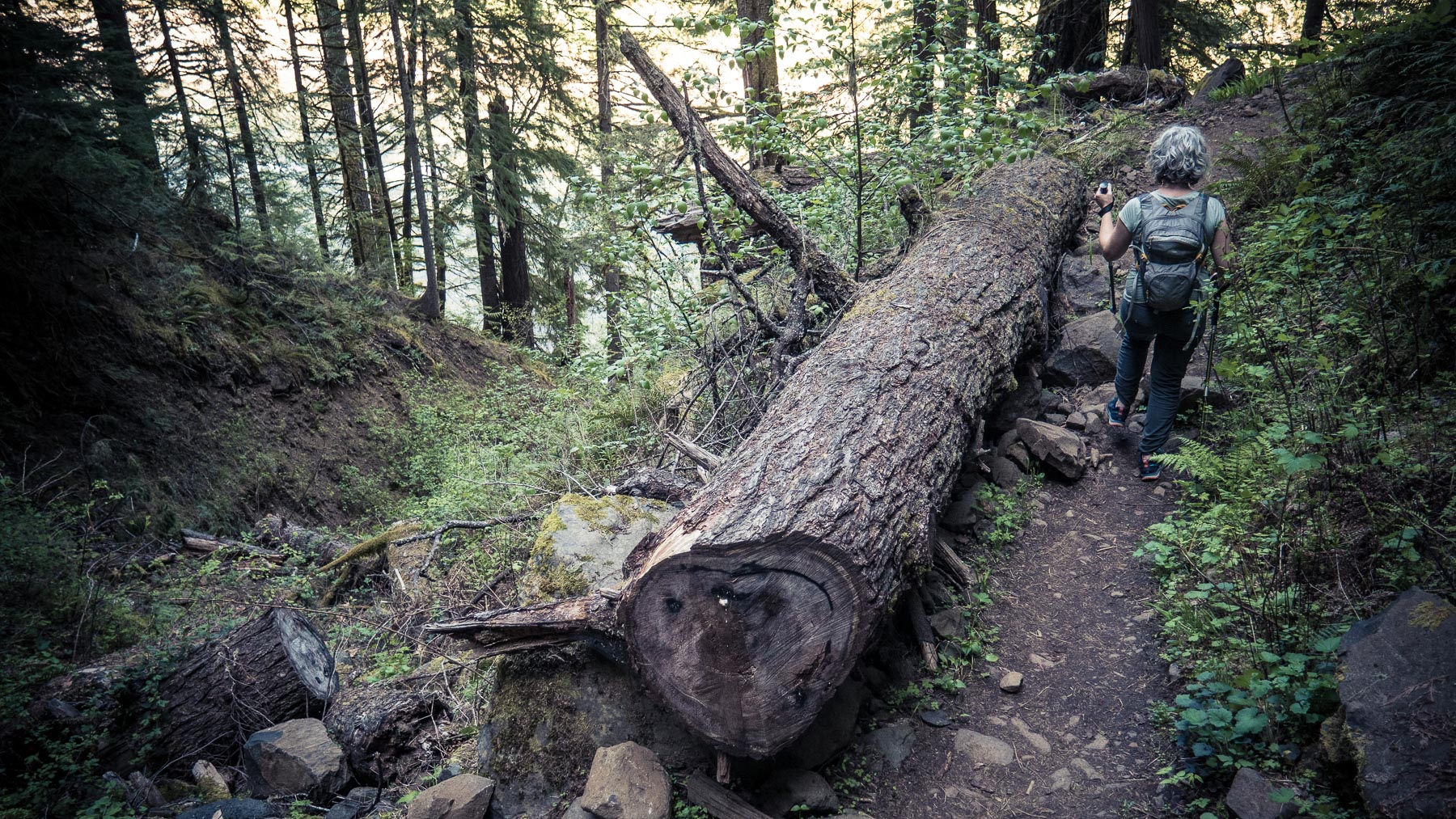 clackamasrivertrail-8.jpg