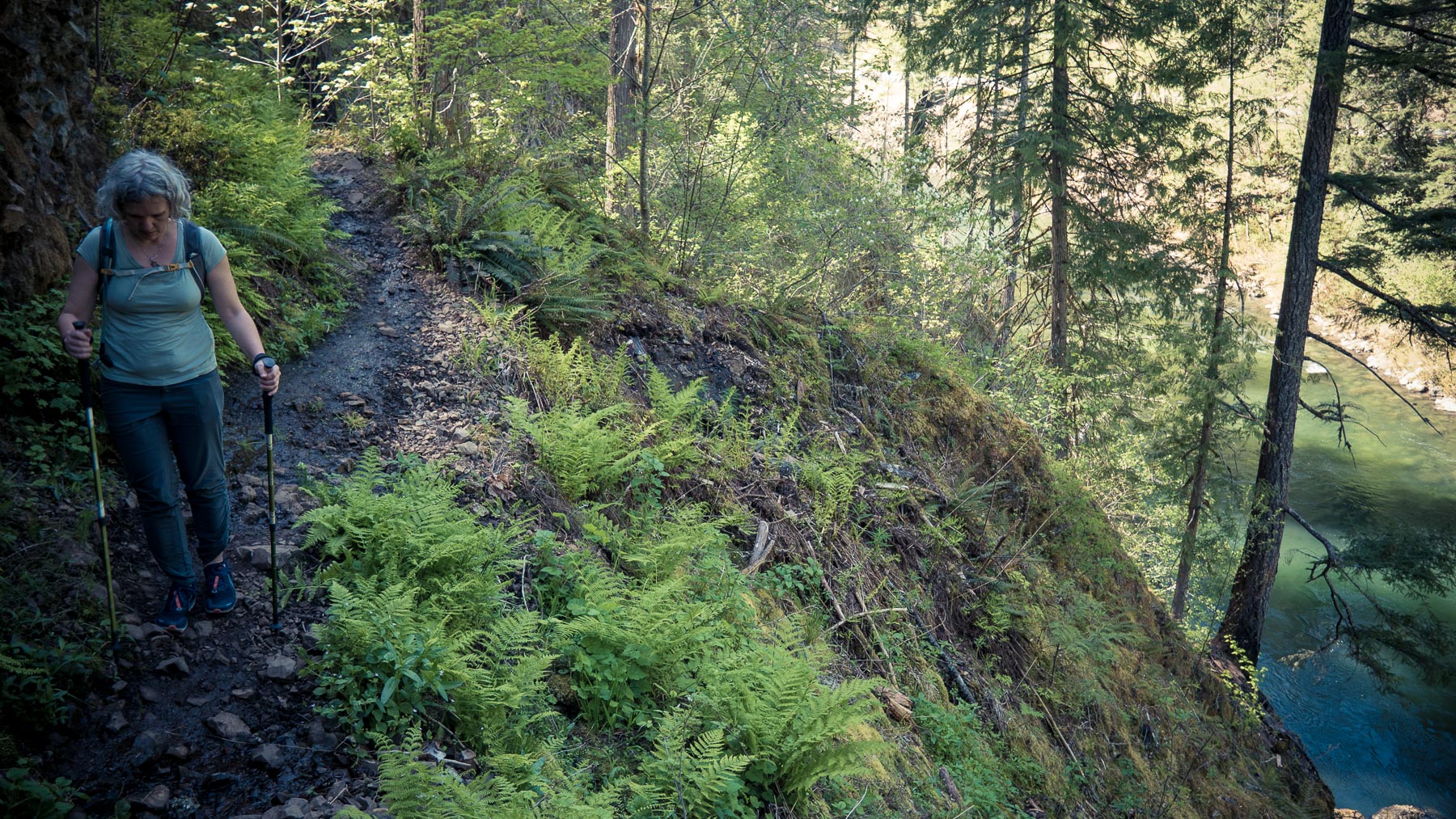 clackamasrivertrail-7.jpg