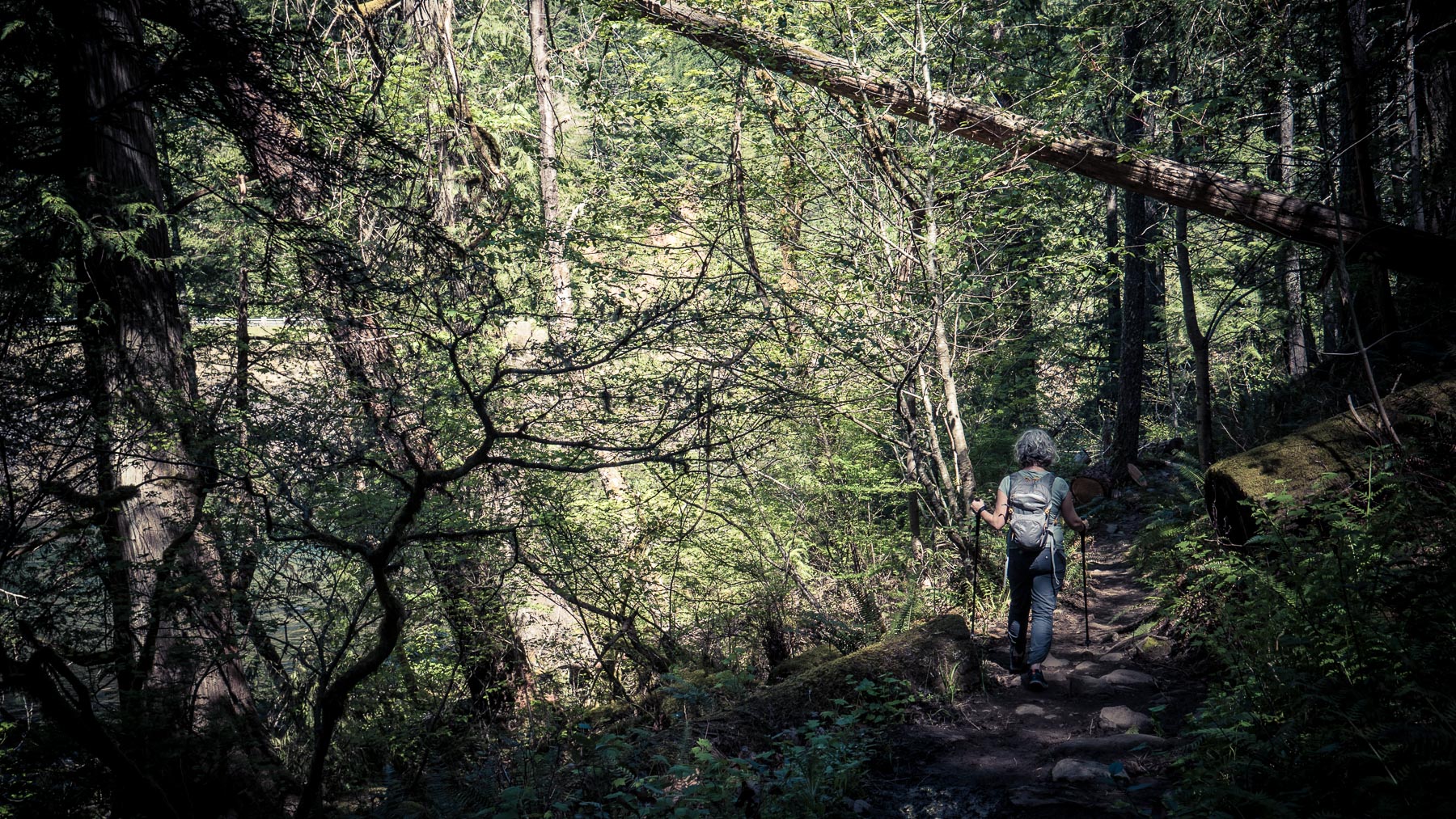 clackamasrivertrail-5.jpg