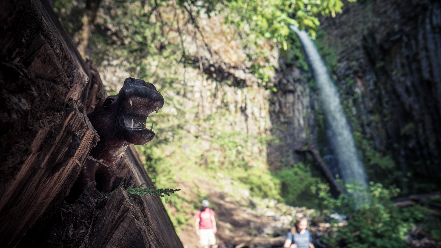 05-drycreekfalls-30.jpg