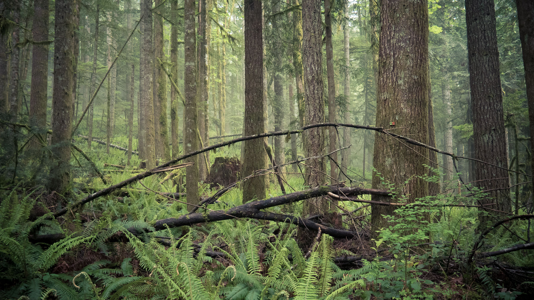 05-boulderridge-15.jpg