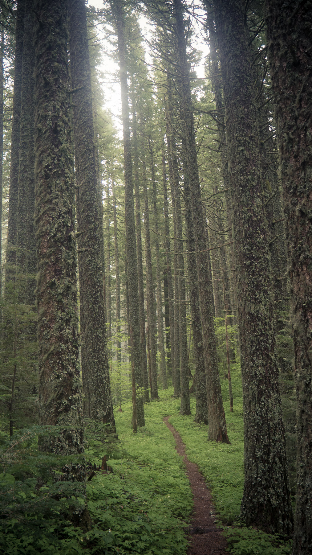 05-boulderridge-31.jpg