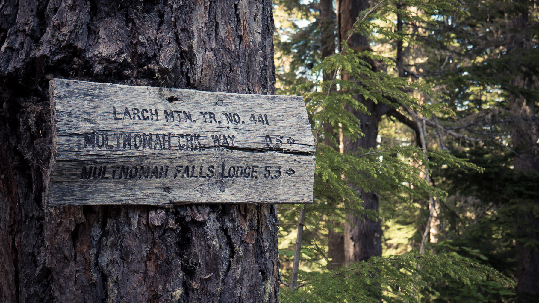 06-larchmtn-9.jpg