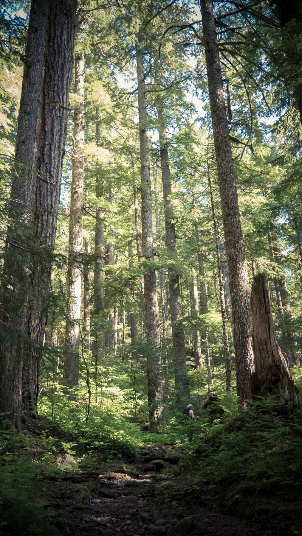 06-larchmtn-14.jpg
