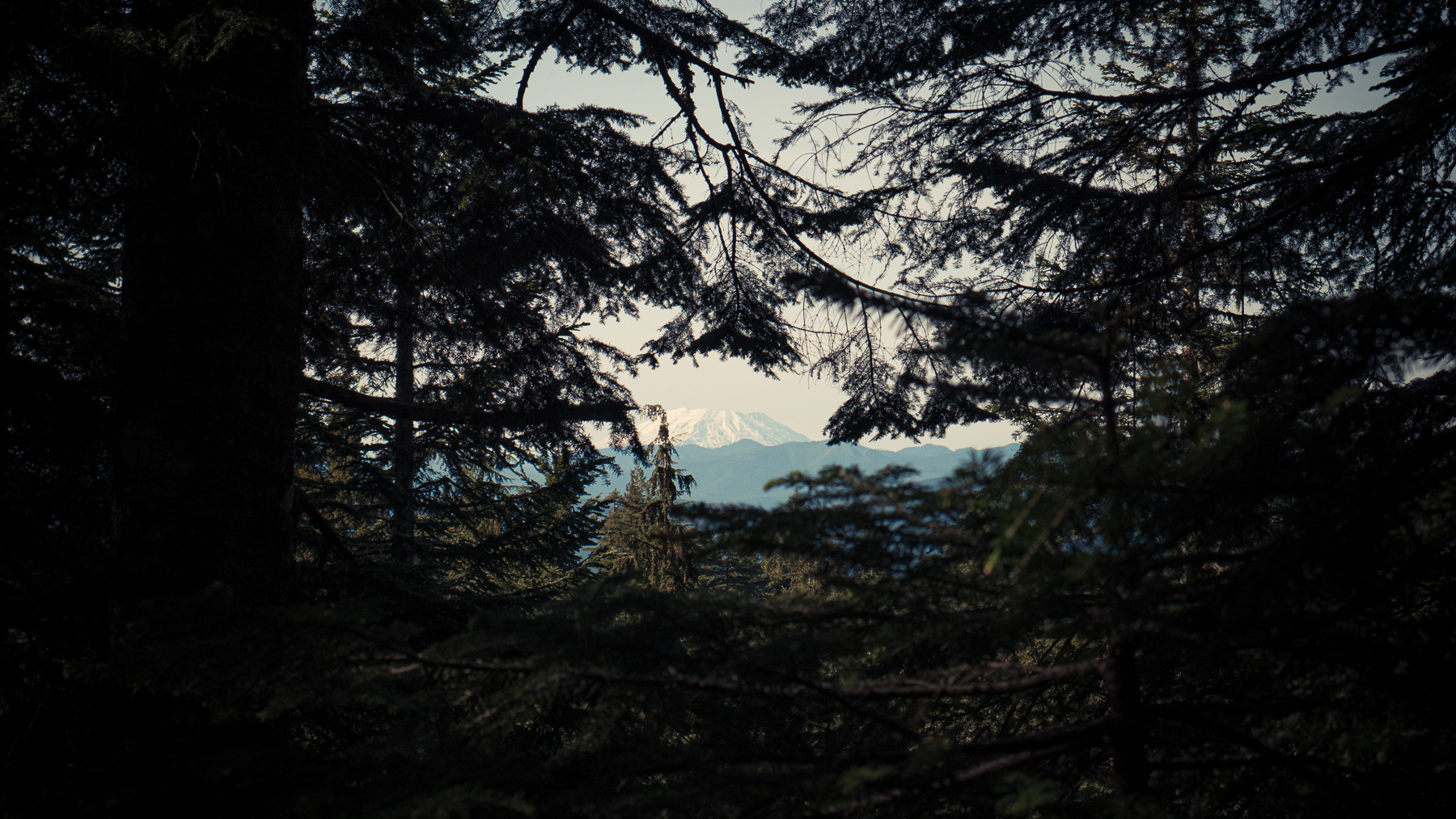 06-larchmtn-21.jpg