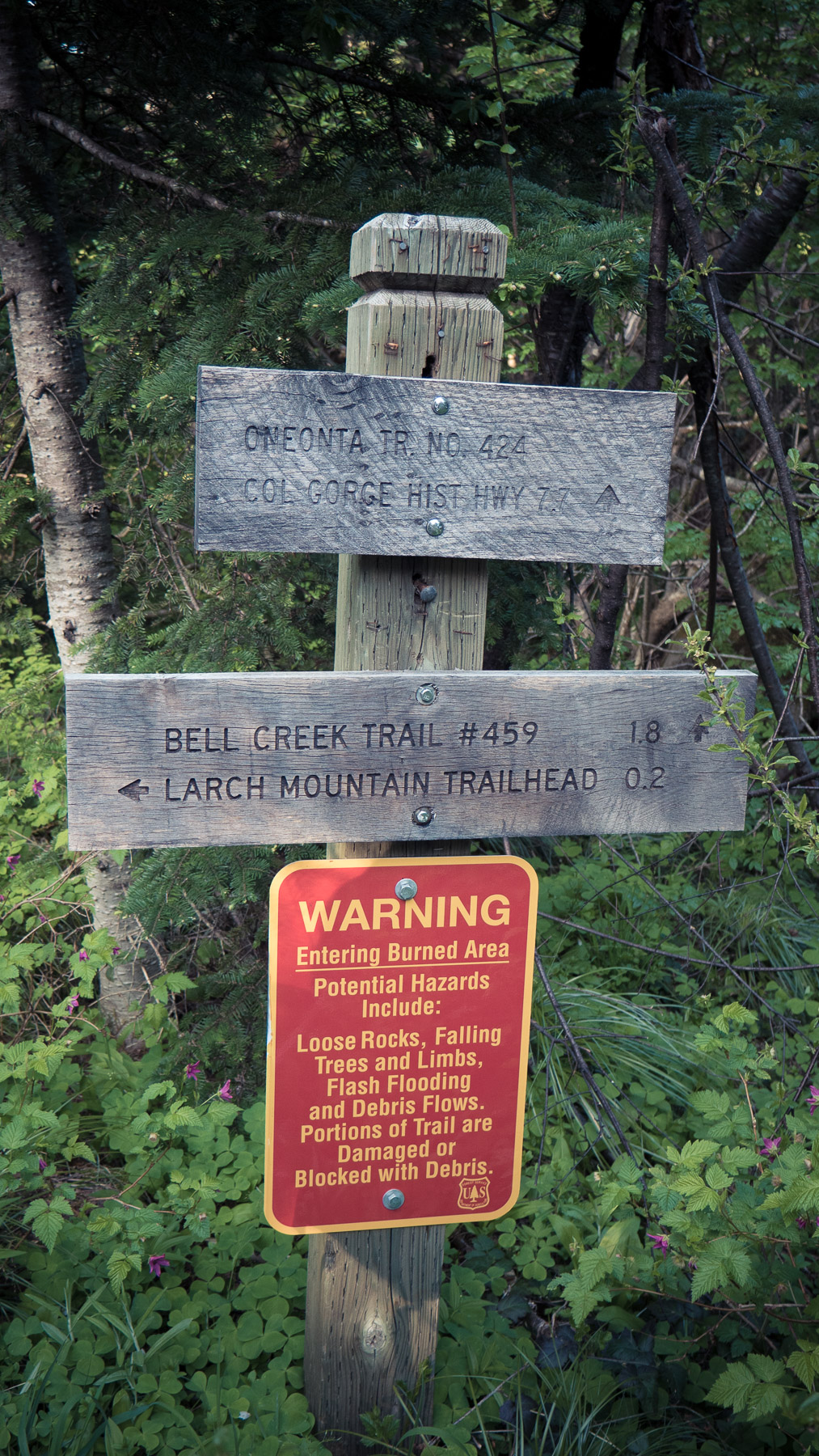 06-larchmtn-26.jpg