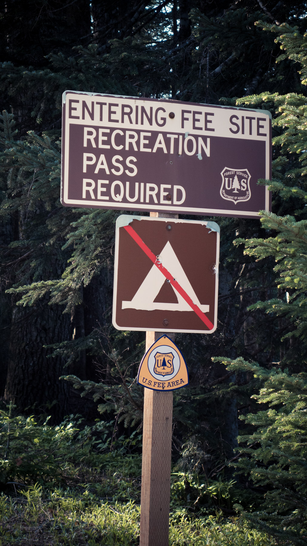 06-larchmtn-28.jpg