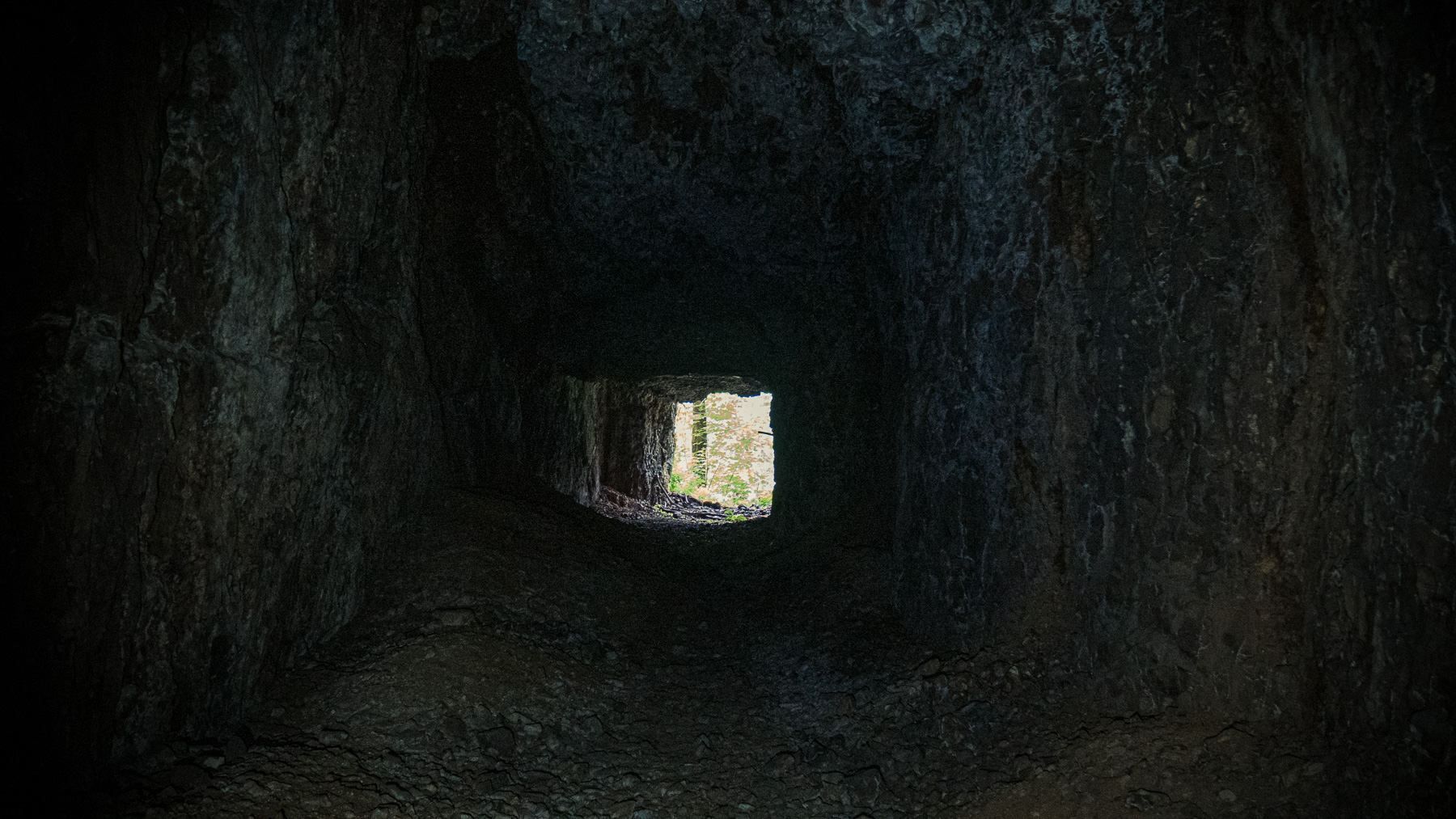 06-memaloose-14.jpg
