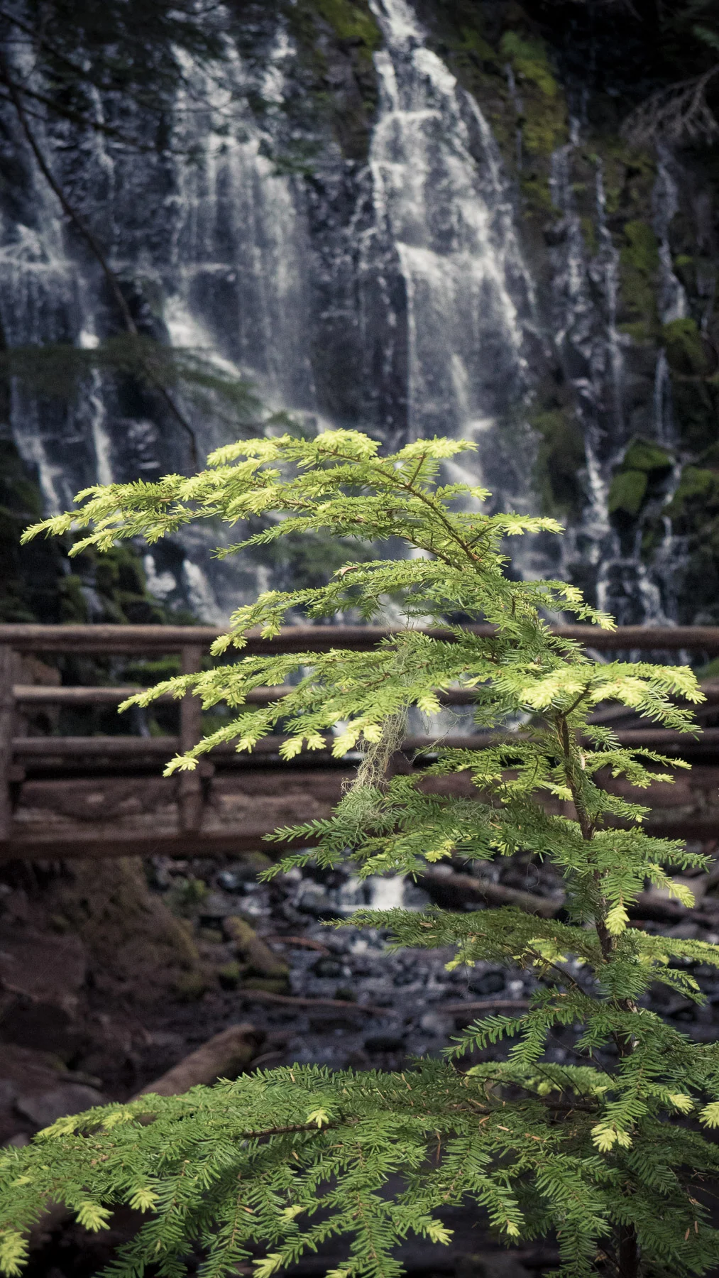 07-ramonafalls-21.jpg