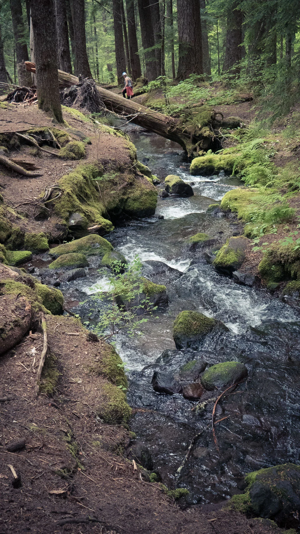 07-ramonafalls-32.jpg